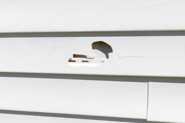 Best Siding Painting and Refinishing  in Burley, ID